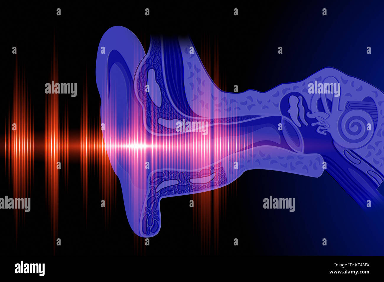Conceptual image about human hearing Stock Photo