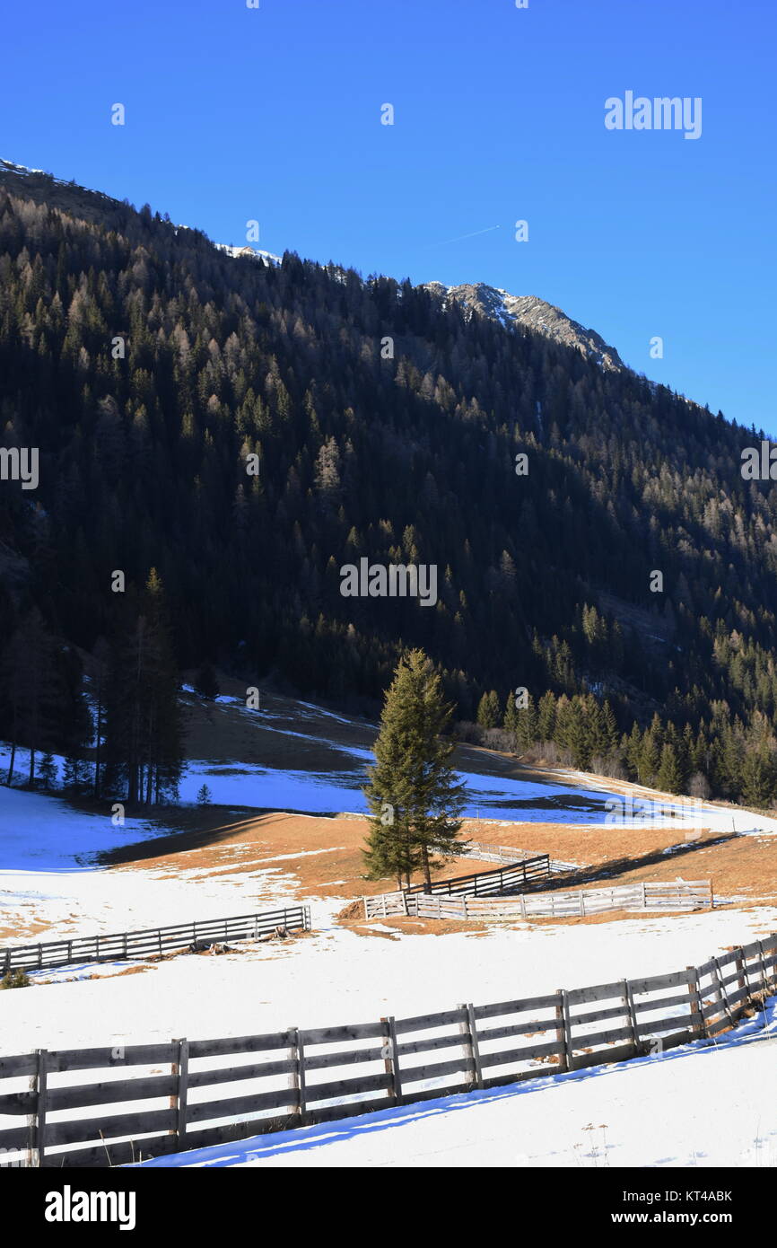east tyrol,winkeltal,villgrater mountains,winter,snow,ice,hochalmspitze,valley Stock Photo