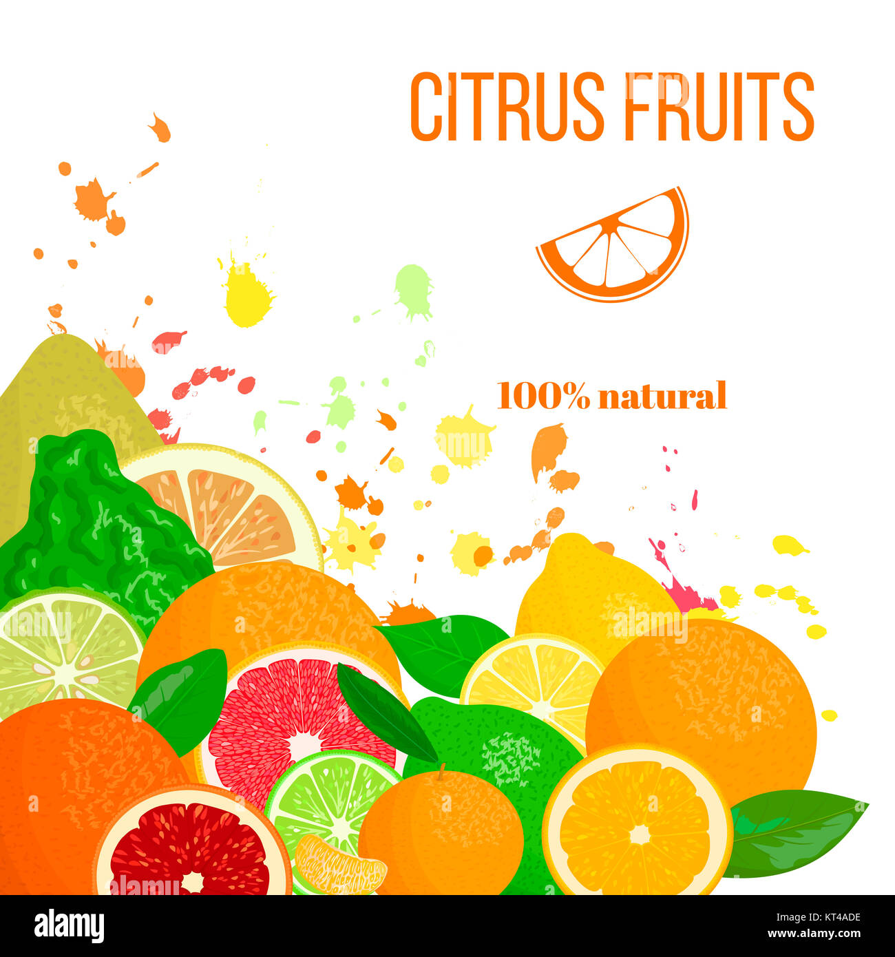 Citrus fruits fresh and juicy. Bergamot, lemon, grapefruit, lime, mandarin, pomelo, orange, blood orange with splashes Stock Photo