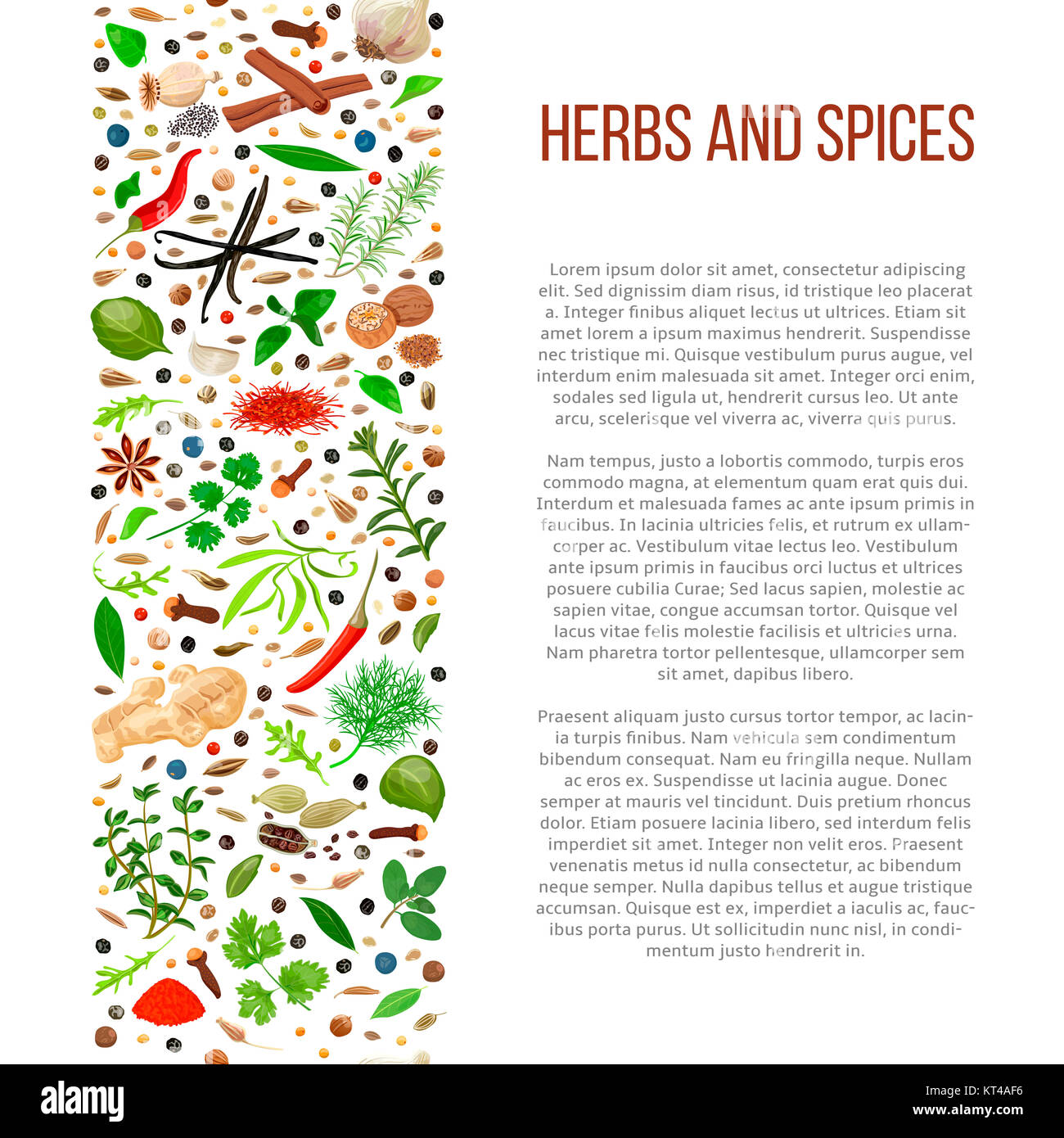 different herbs and spices with description text Stock Photo Alamy