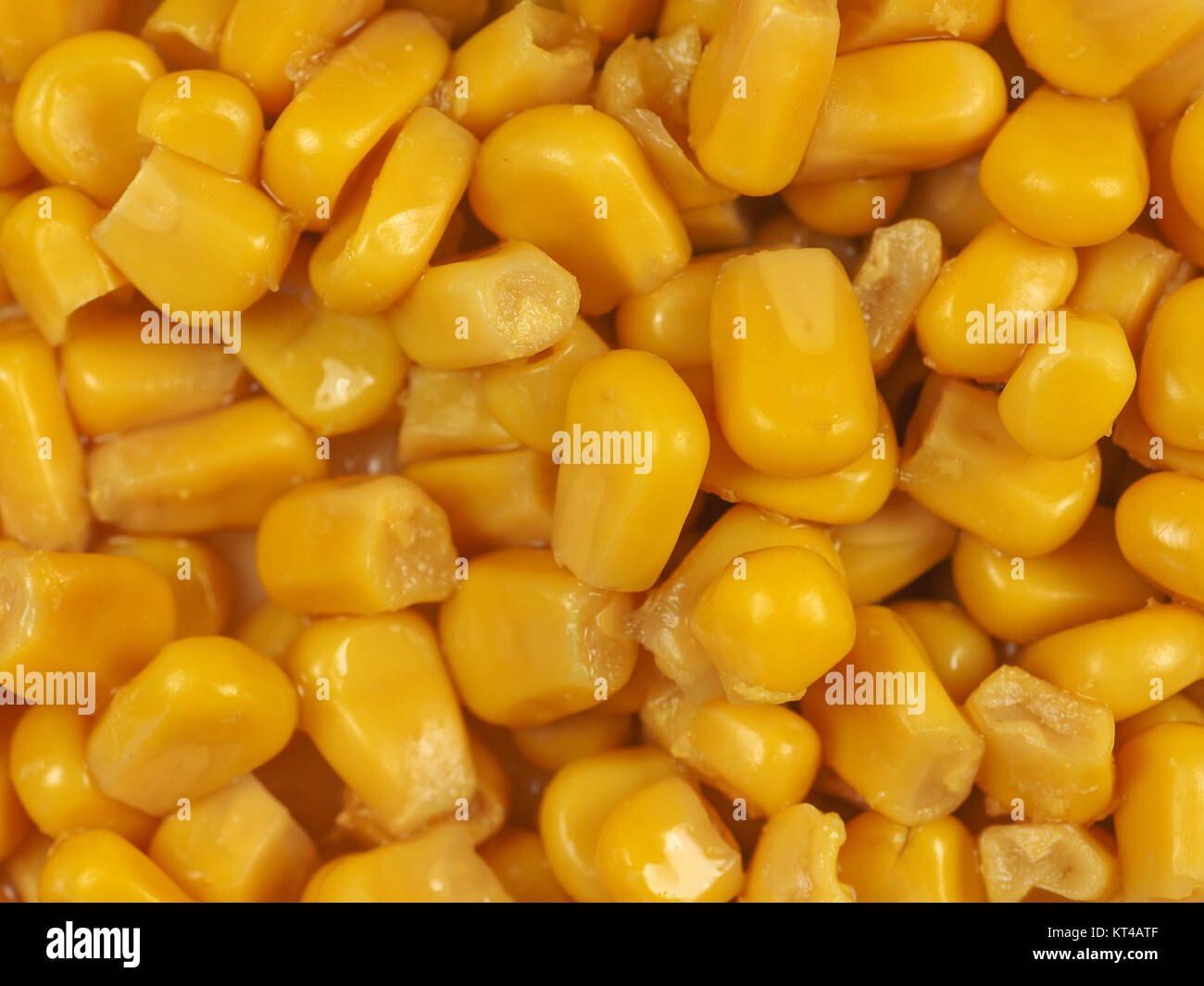 maize corn food Stock Photo - Alamy