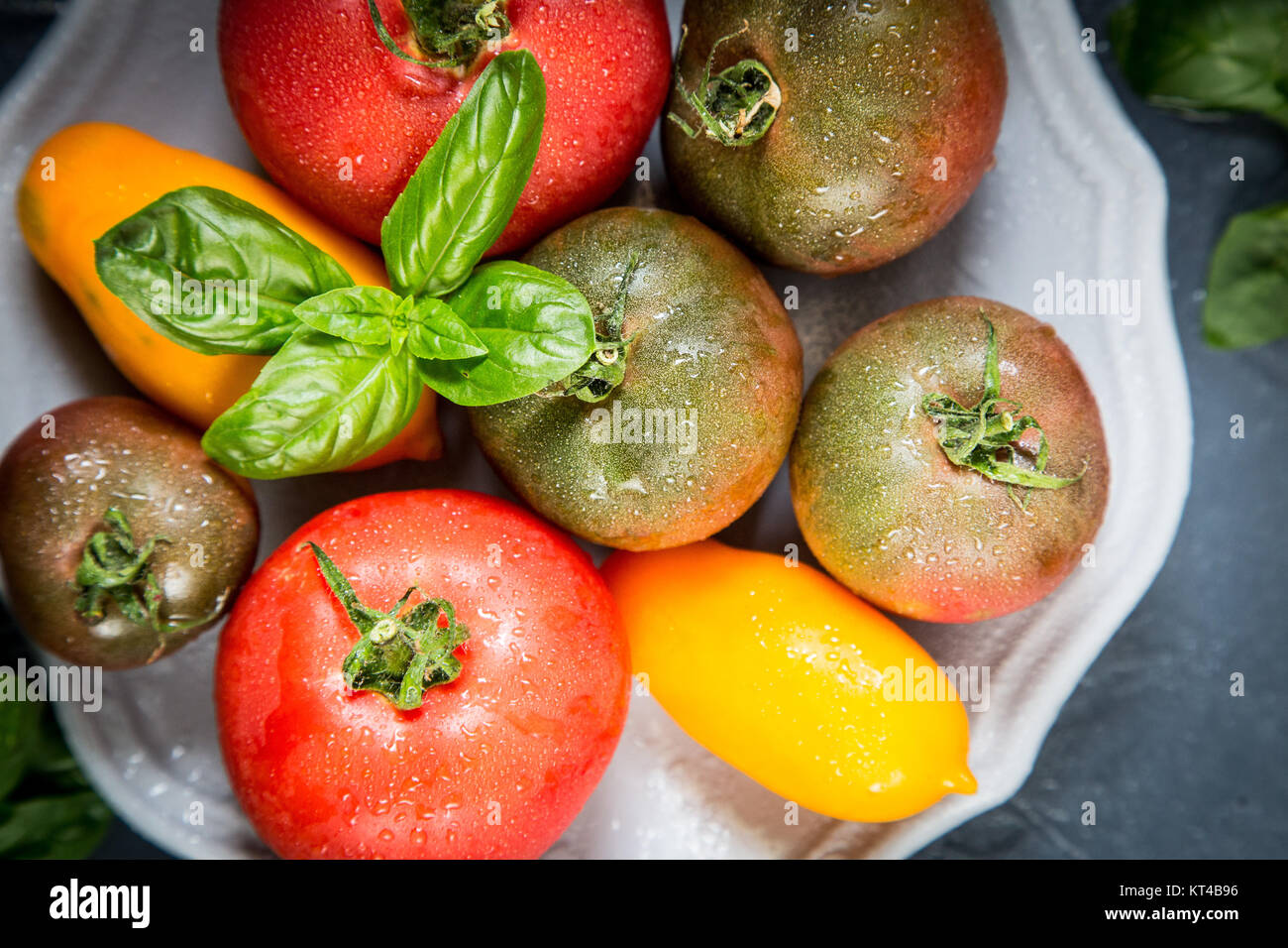 Colorful tomatoes of different sizes and kinds with basil. selective ...