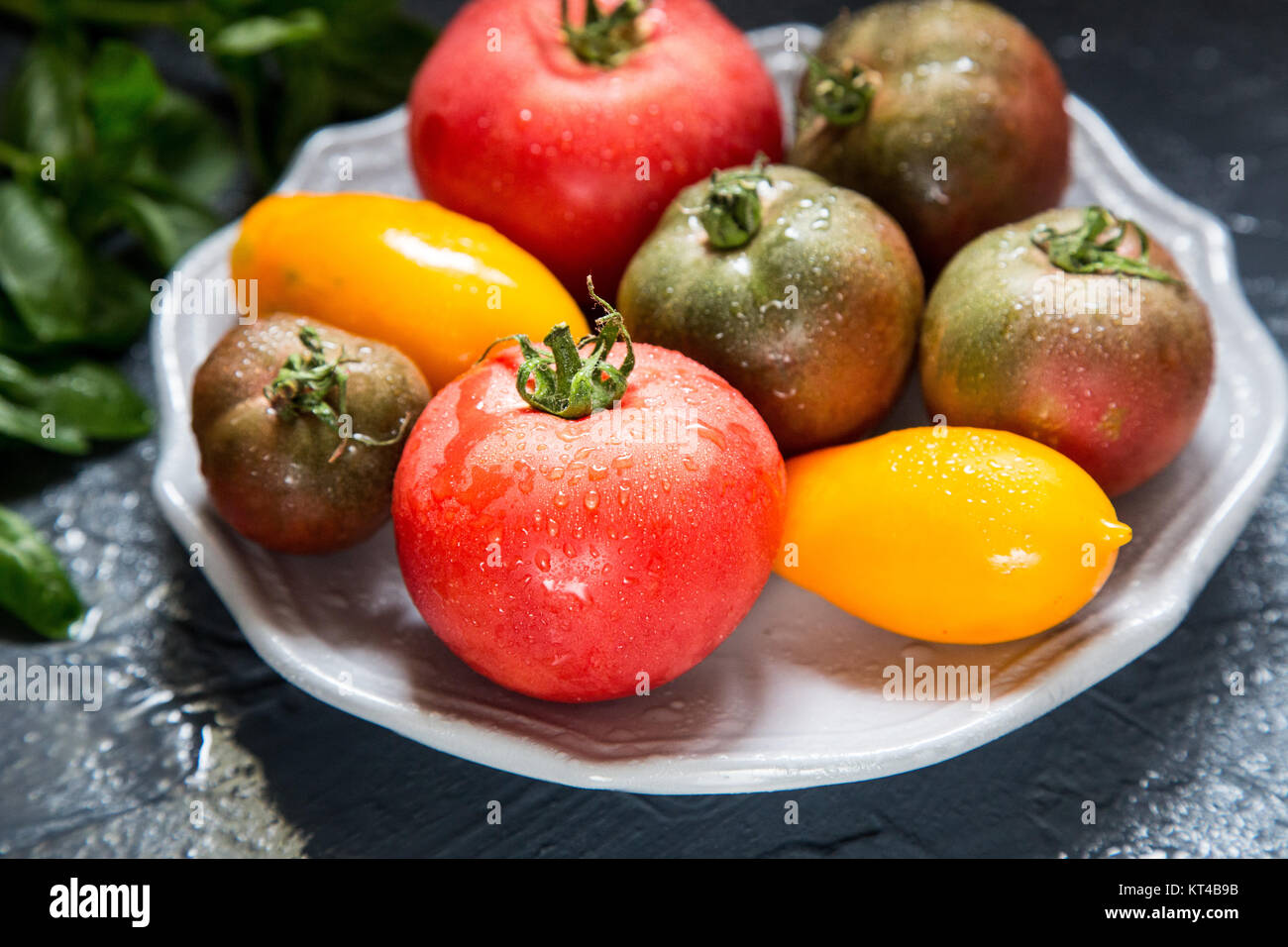 Colorful tomatoes of different sizes and kinds with basil. selective ...