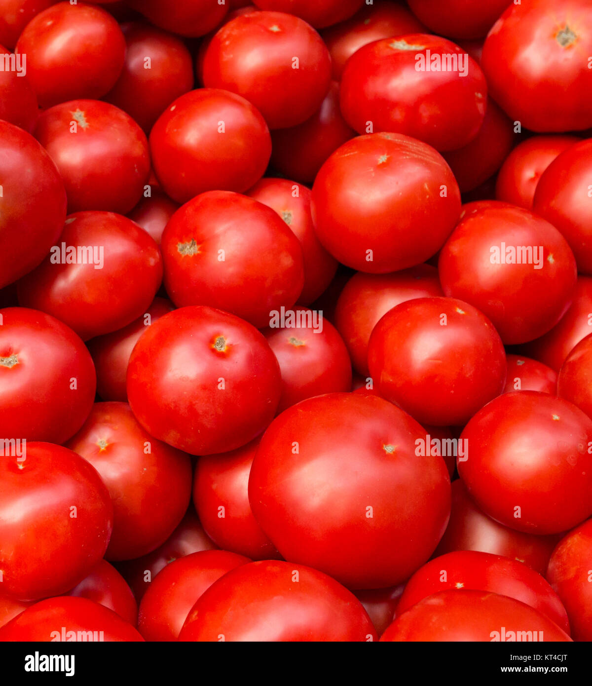 Fresh tomatoes in a market stall Stock Photo - Alamy