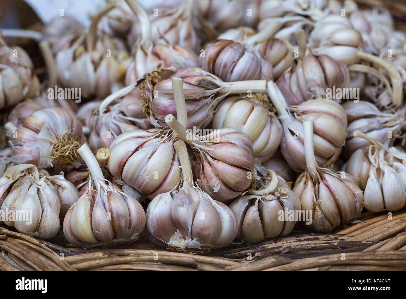 fresh garlics in a market Stock Photo - Alamy