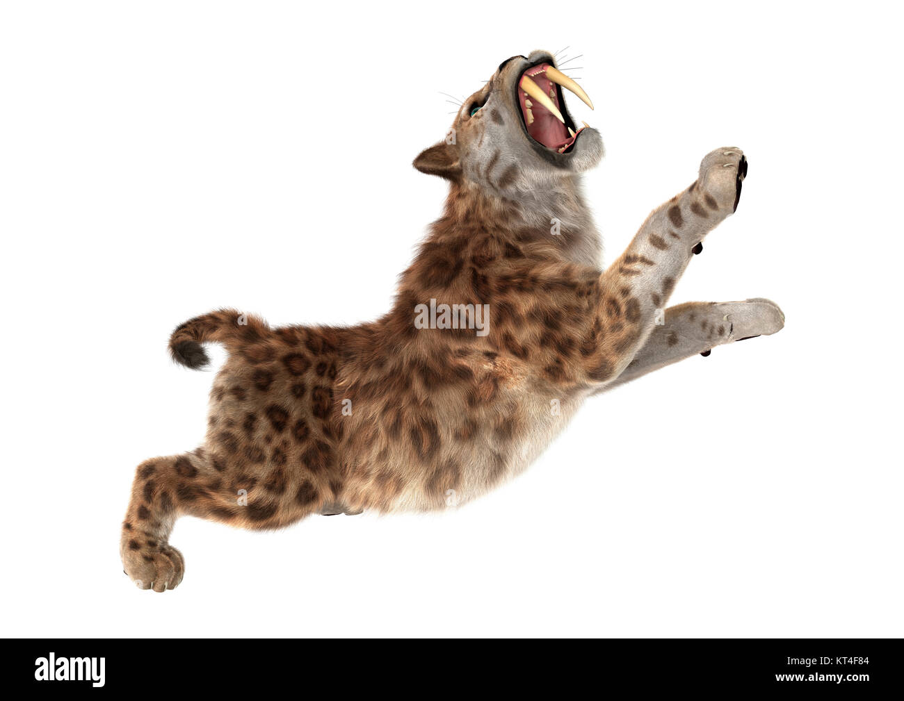 3D Rendering Sabertooth Tuger on White Stock Photo