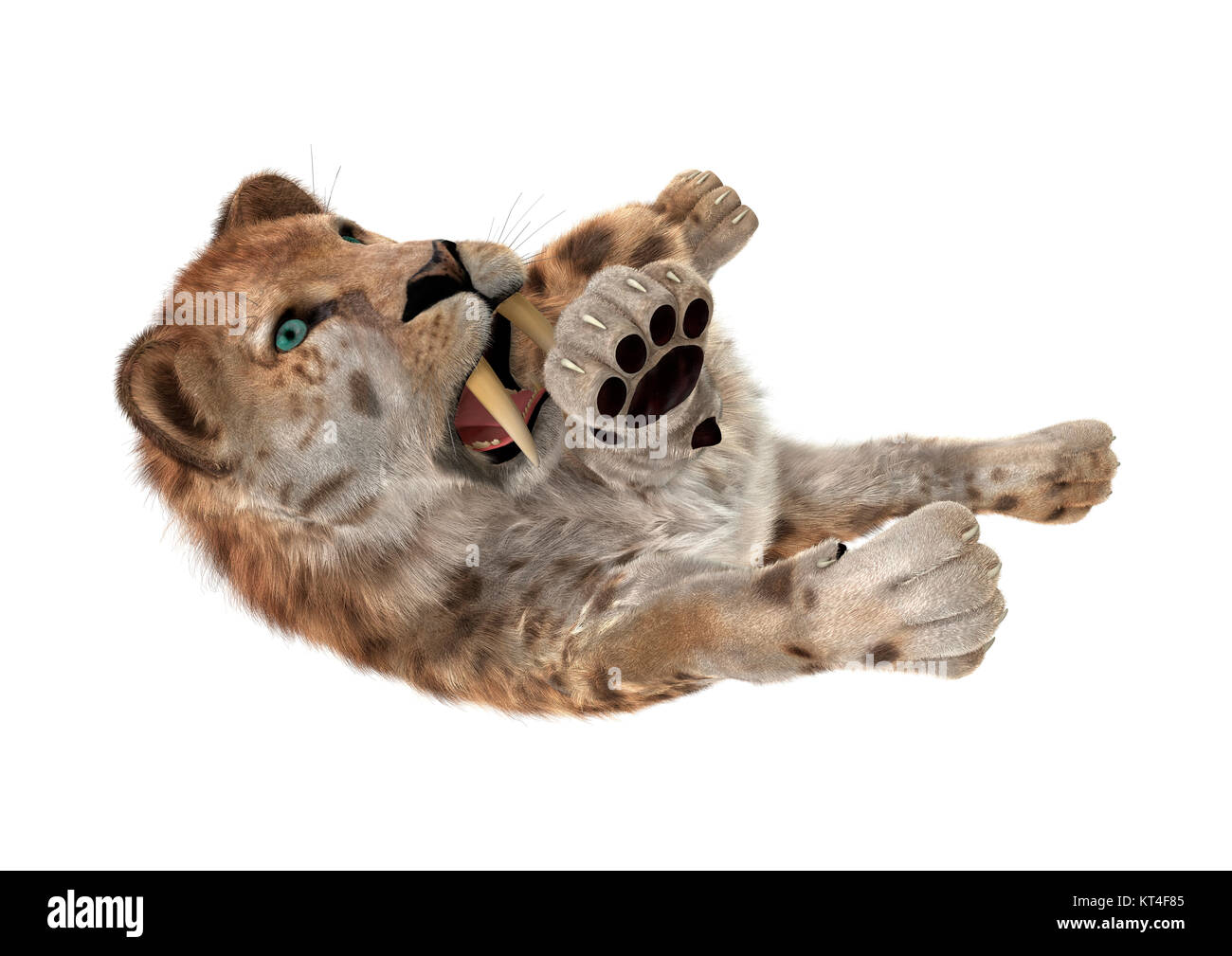 3D Rendering Sabertooth Tuger on White Stock Photo