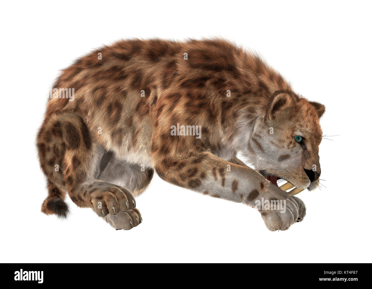 3D Rendering Sabertooth on White Stock Photo
