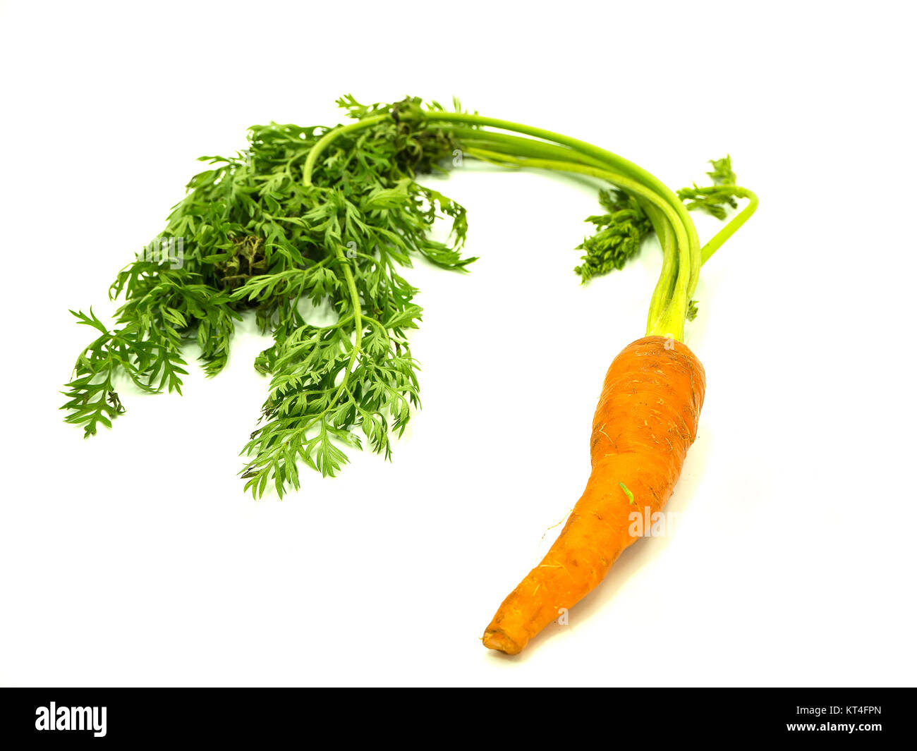 Baby carrot with leaf on isolated white background Stock Photo Alamy