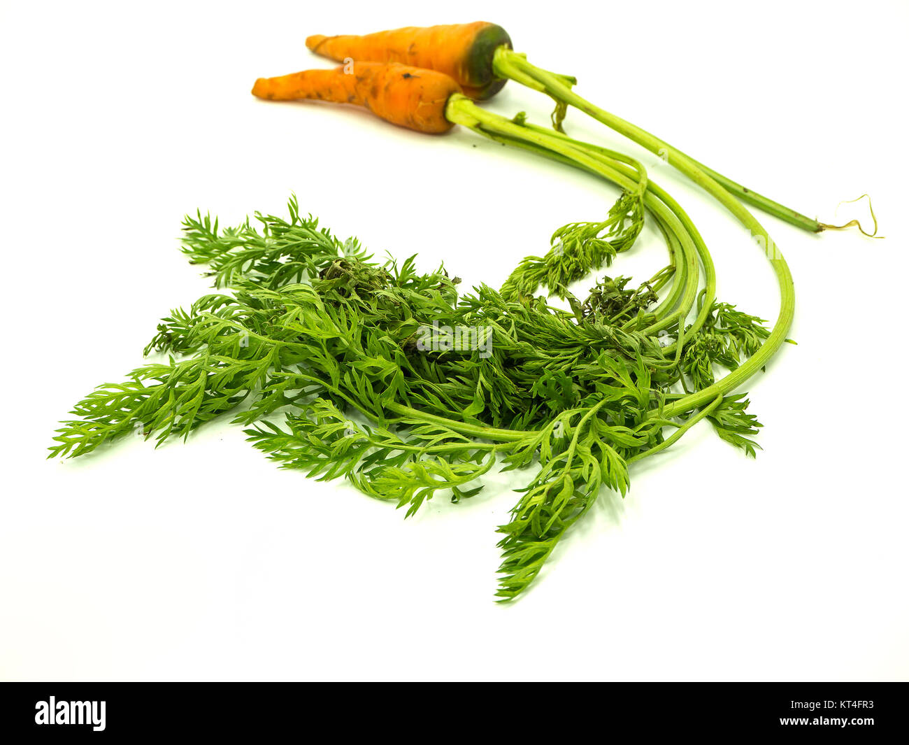 Baby carrot with leaf on isolated white background Stock Photo Alamy