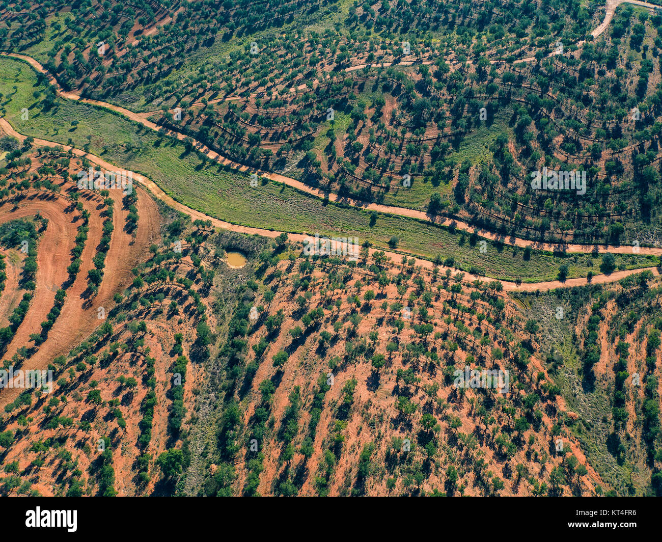 Aerial View Green Fields with Trees Stock Photo - Alamy
