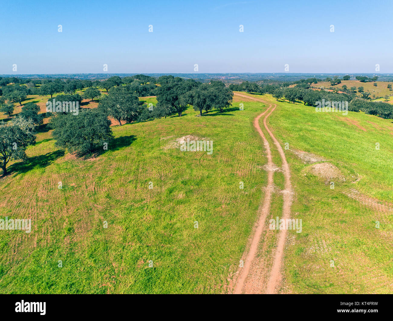 Aerial View Green Fields with Trees Stock Photo - Alamy