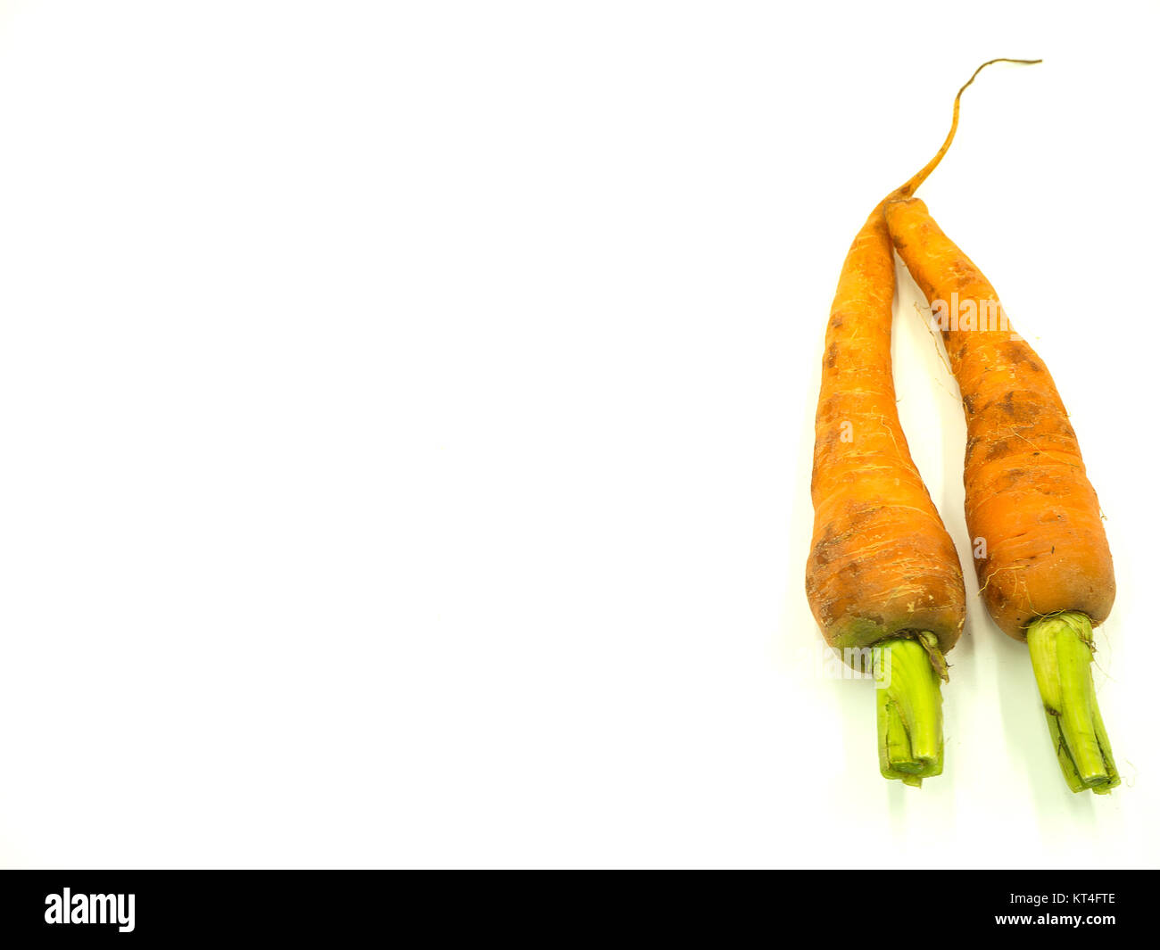 Baby carrot on isolated white background, top view, copy space Stock