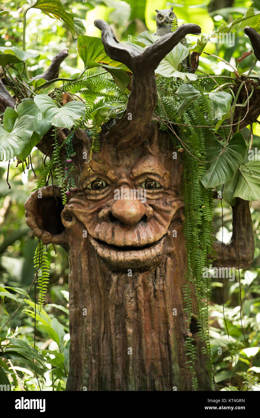 Ent Tree Man Stock Photo