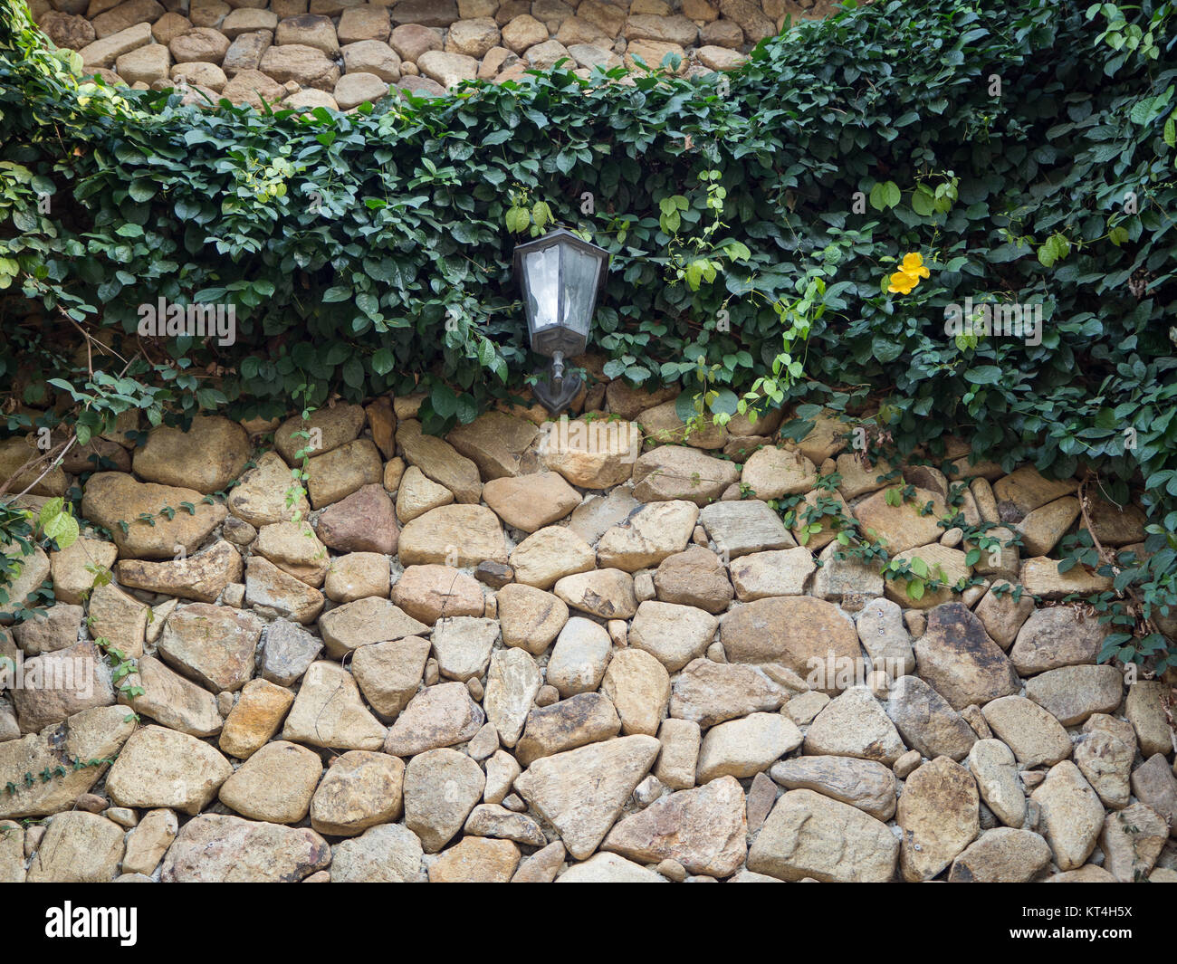 A lamp on the brick wall have a grass on the wall Stock Photo