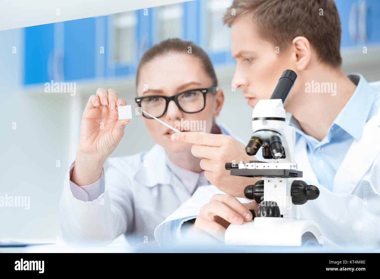 Microchemists Concentrated young chemists working with glass microscope slide in lab ...