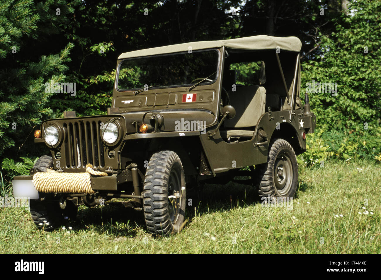 1952 Willys M38 Military Vehicle Stock Photo