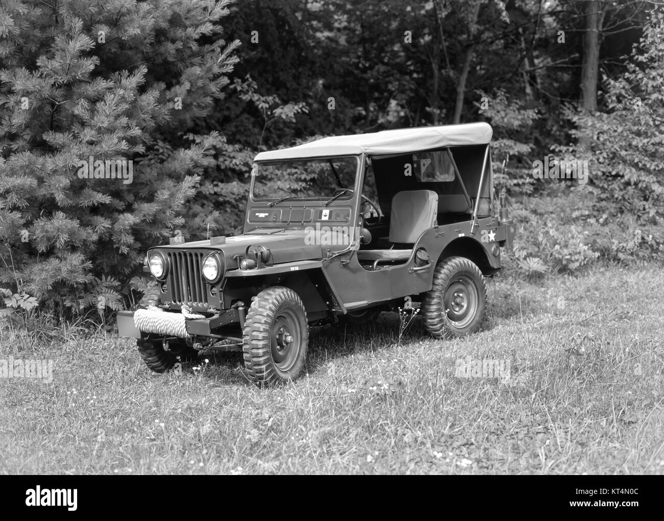 1952 Willys M38 Military Vehicle Stock Photo