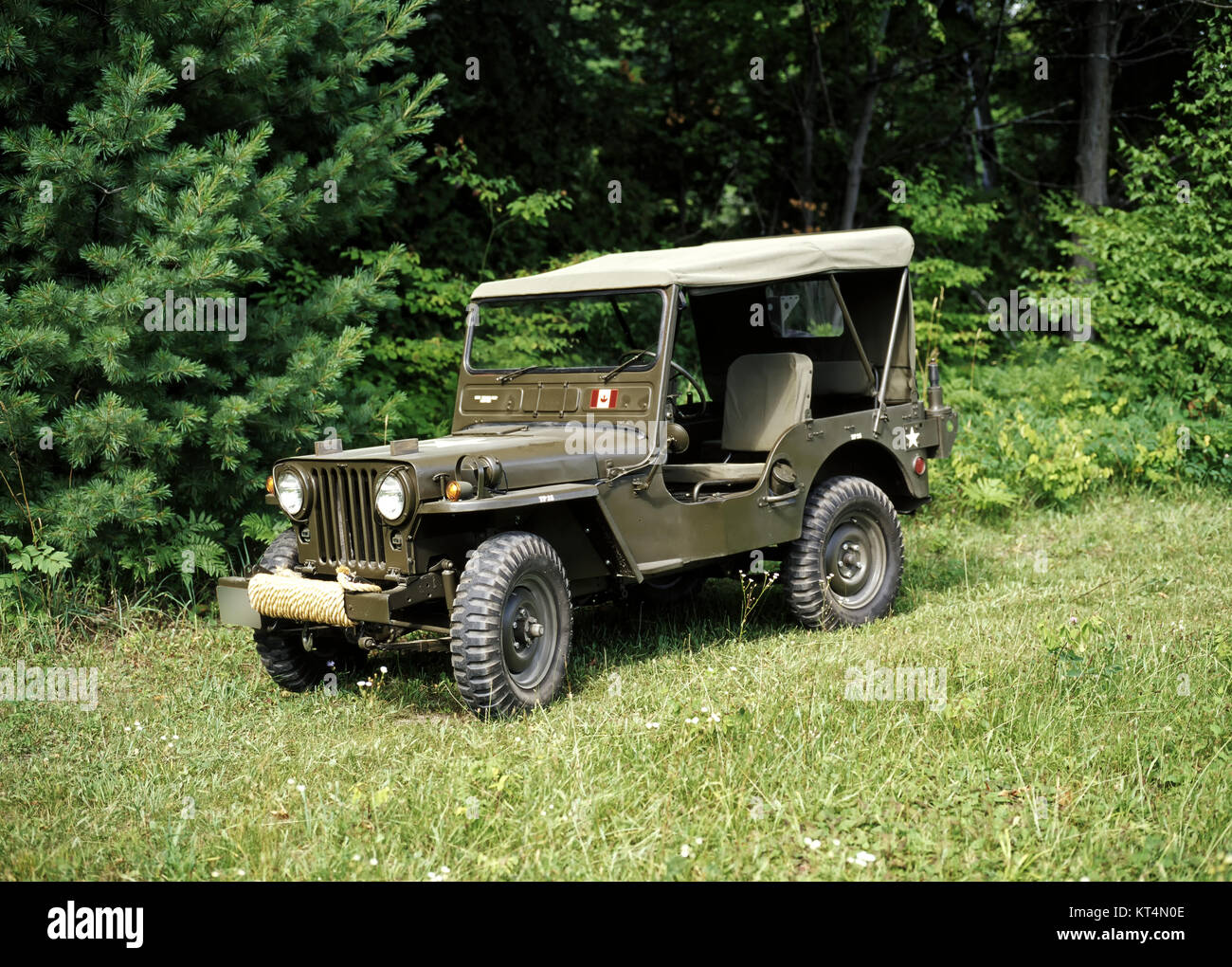 1952 Willys M38 Military Vehicle Stock Photo
