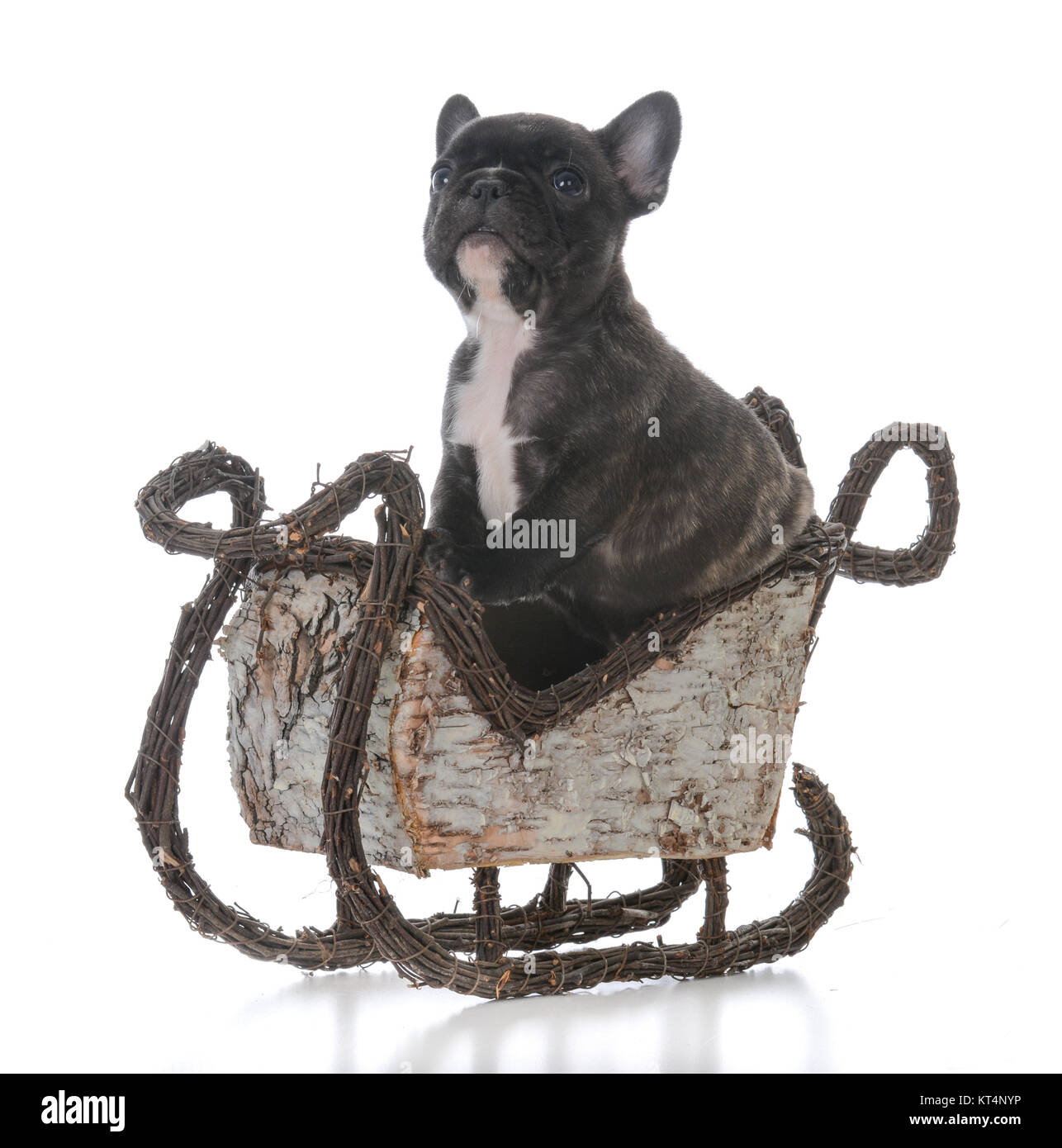https://www.alamy.com/licenses-and-pricing/?v=1
