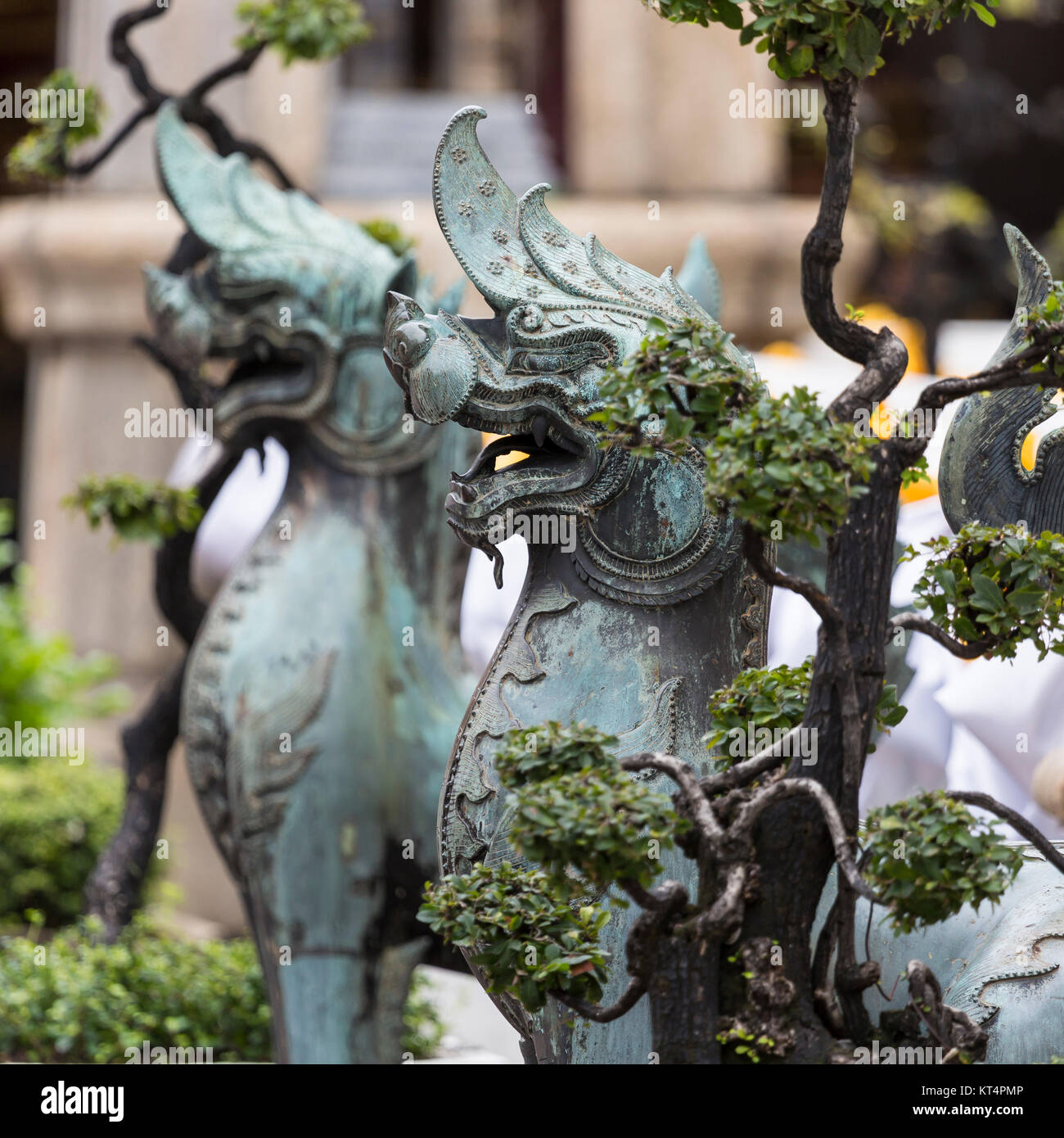 Reclining old lion hi-res stock photography and images - Alamy