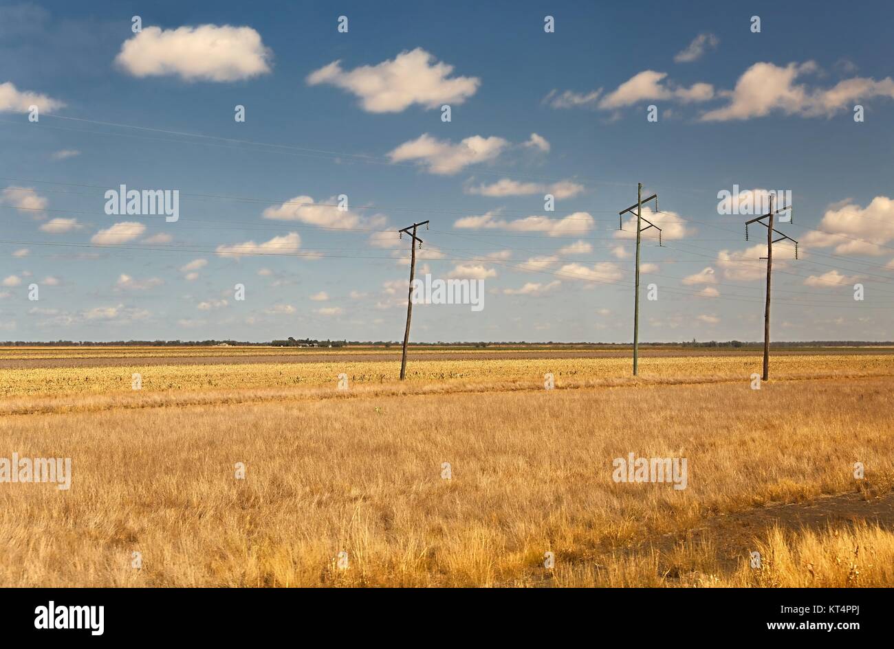 Fields of Australian agricultural landscape Stock Photo - Alamy