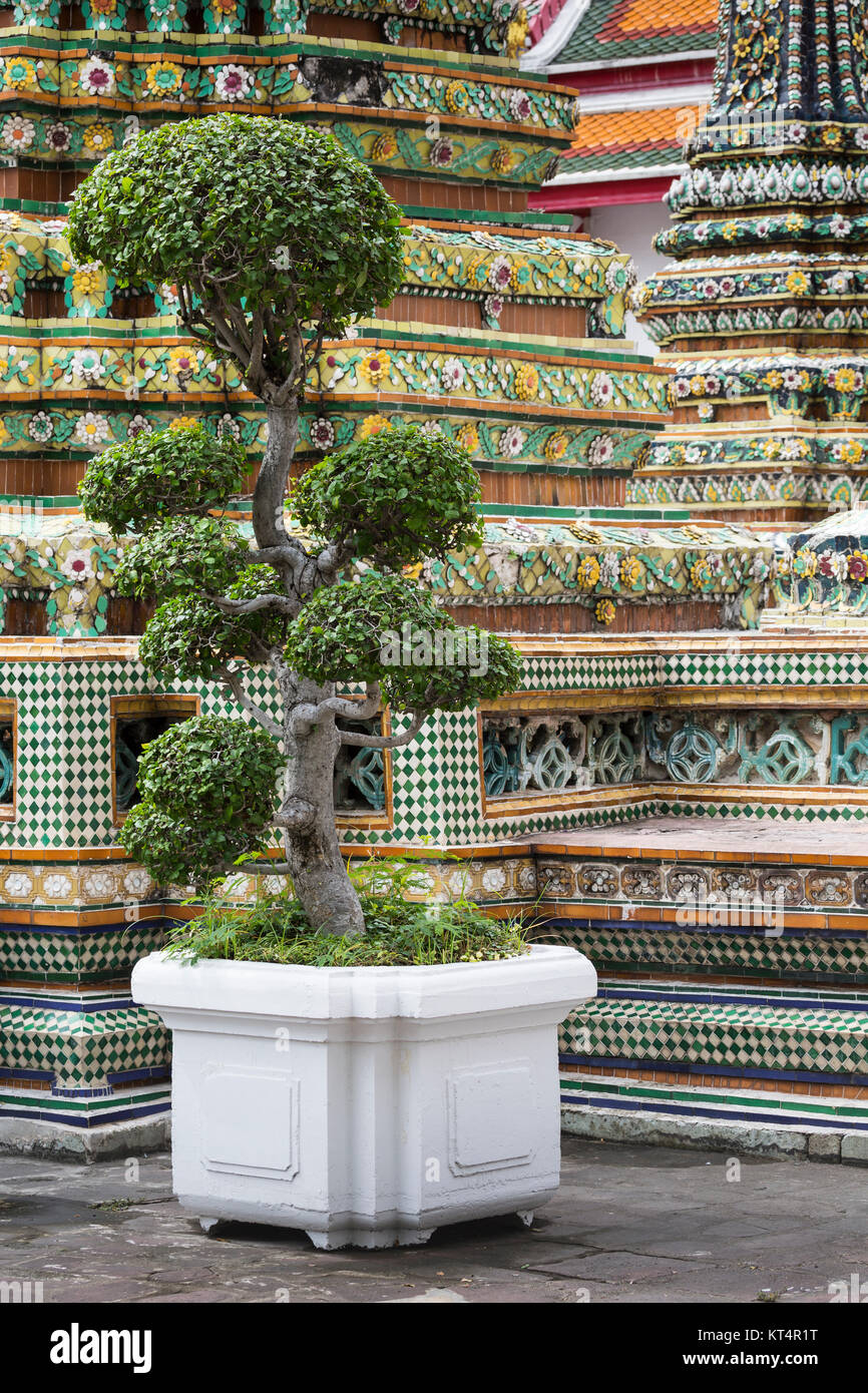 Beautiful Wat Pho temple in Bangkok Thailand Stock Photo - Alamy