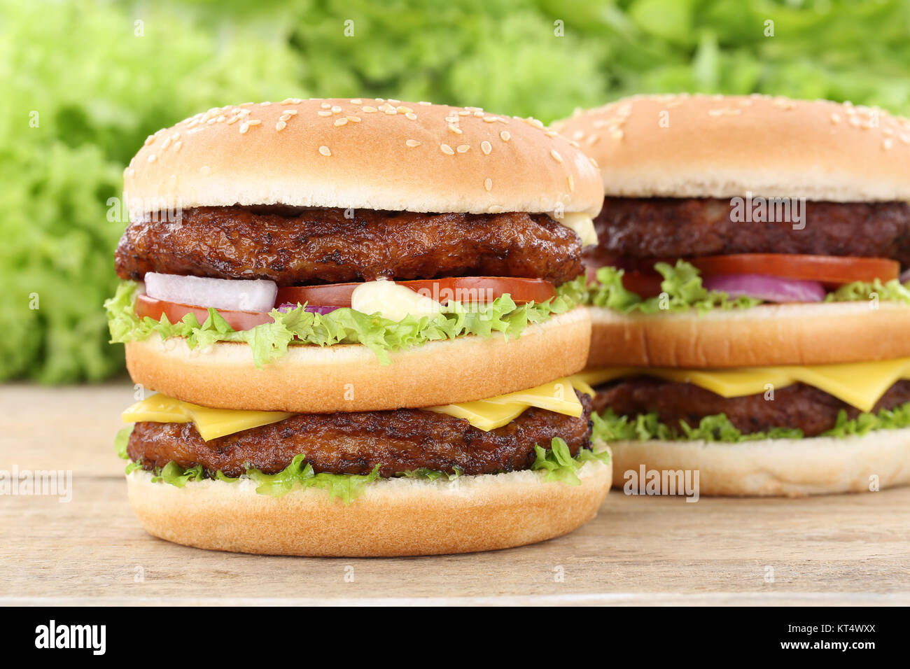 doubleburger double burger hamburger fresh cheese tomatoes Stock Photo