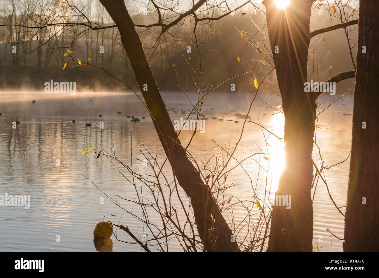 Kleiner Teich im warmgelben diffusen Morgenlicht Stock Photo