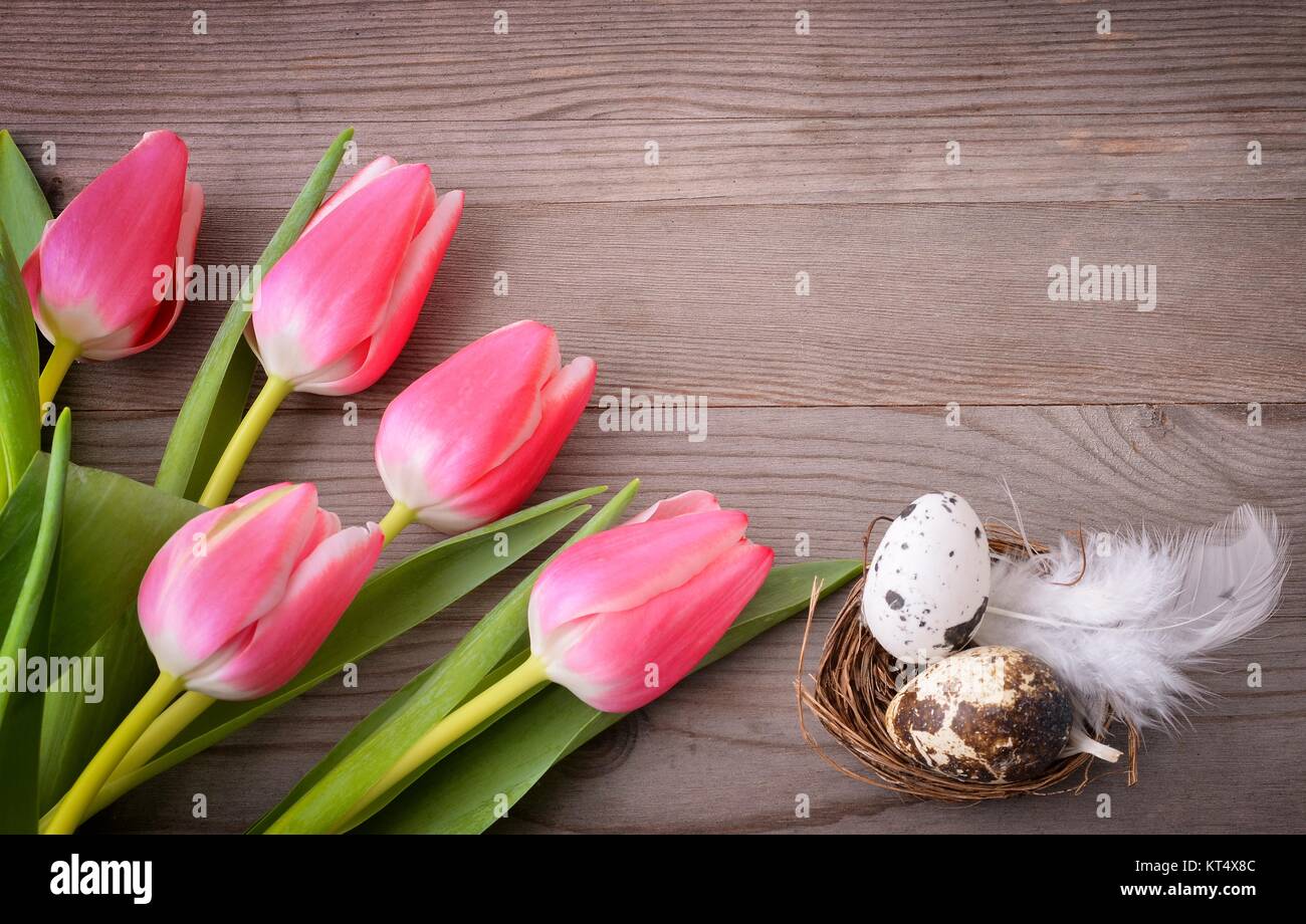 Easter eggs in nest and tulips Stock Photo - Alamy