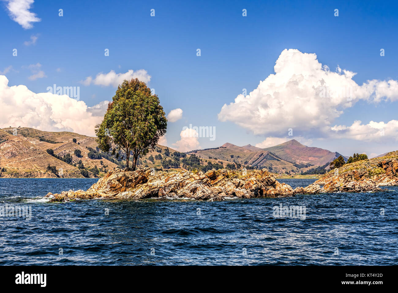 Lonely tree on a small rocky island on a lake under blue skies with fluffy white clouds Stock Photo