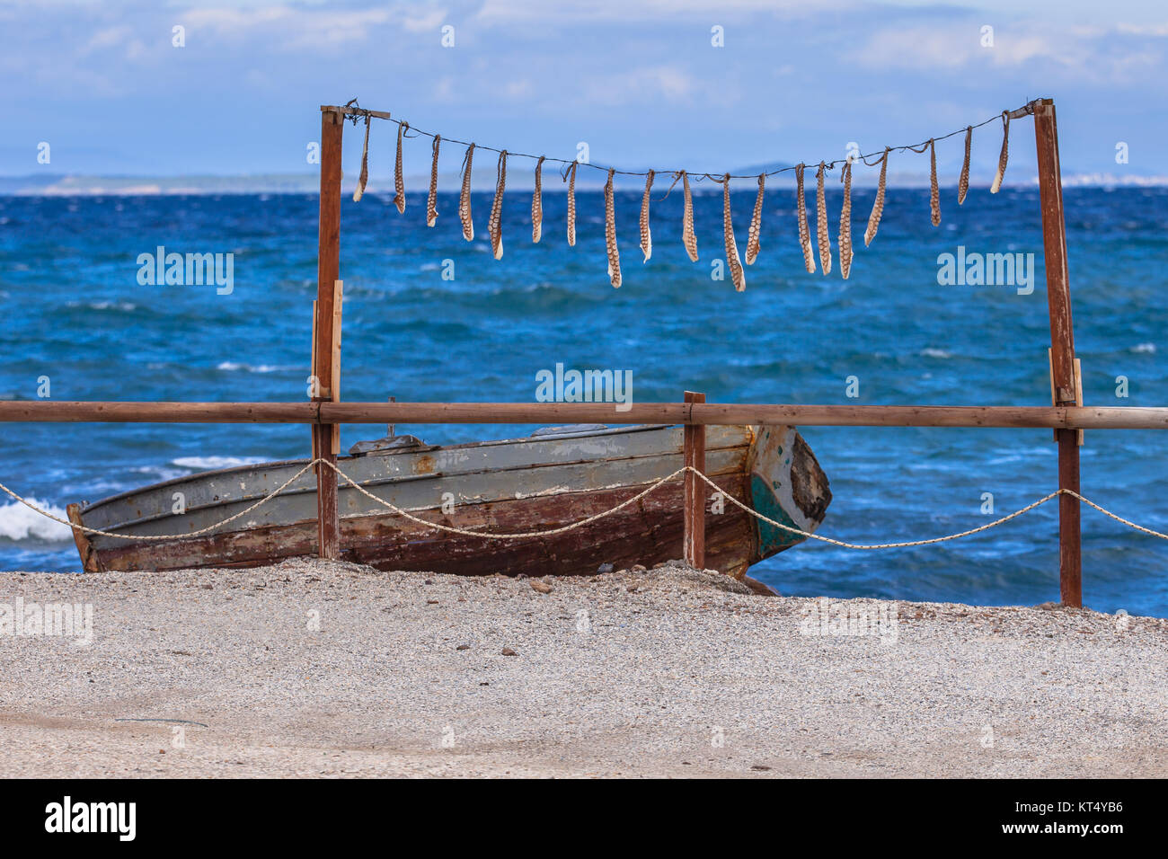 Arms of squid seafood drying in the sun at blue aegean sea on lesbos island, Greece Stock Photo