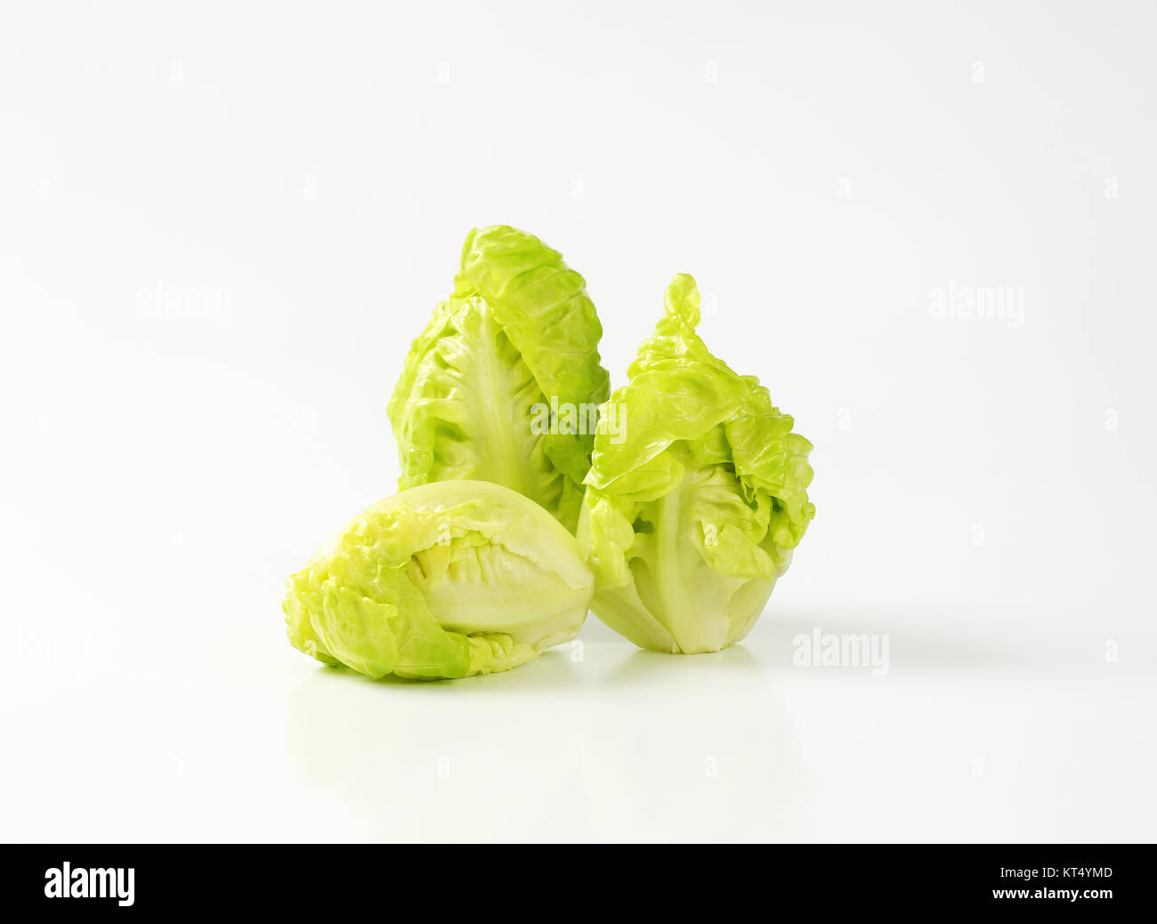 little gem lettuce Stock Photo Alamy