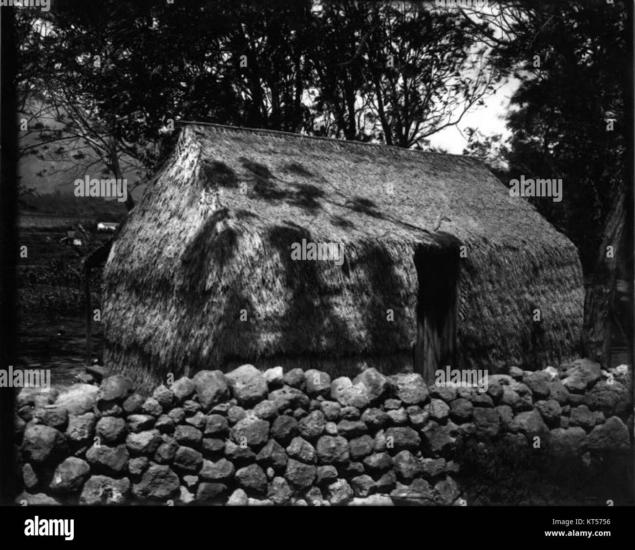 Native Grass House (03) photograph by Brother Bertram Stock Photo Alamy
