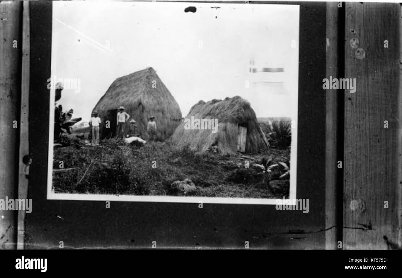 Native Grass House (08) photograph by Brother Bertram Stock Photo Alamy