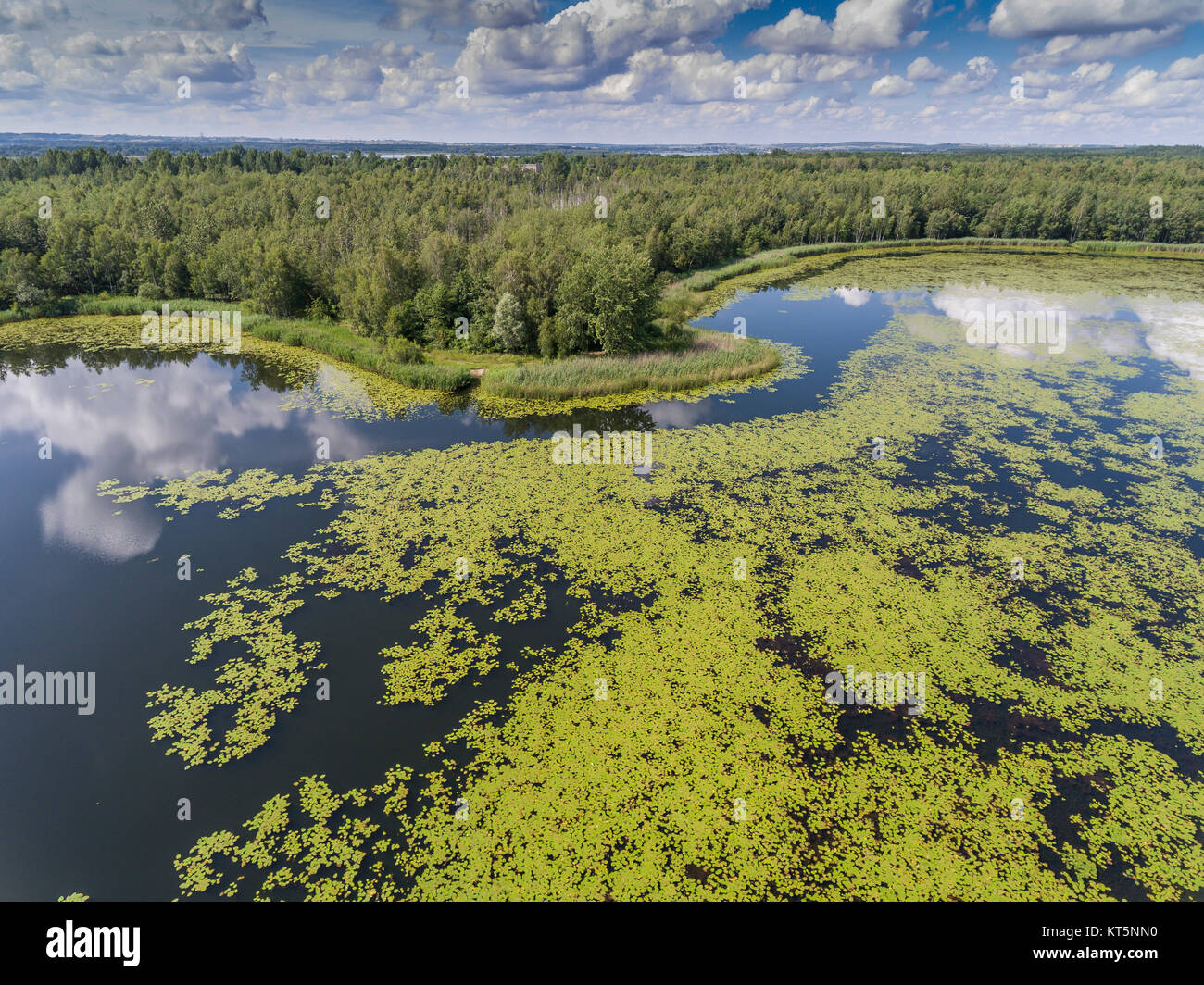 Summer time lake and green forest, white clouds over blue sky in Poland lanscape. Stock Photo