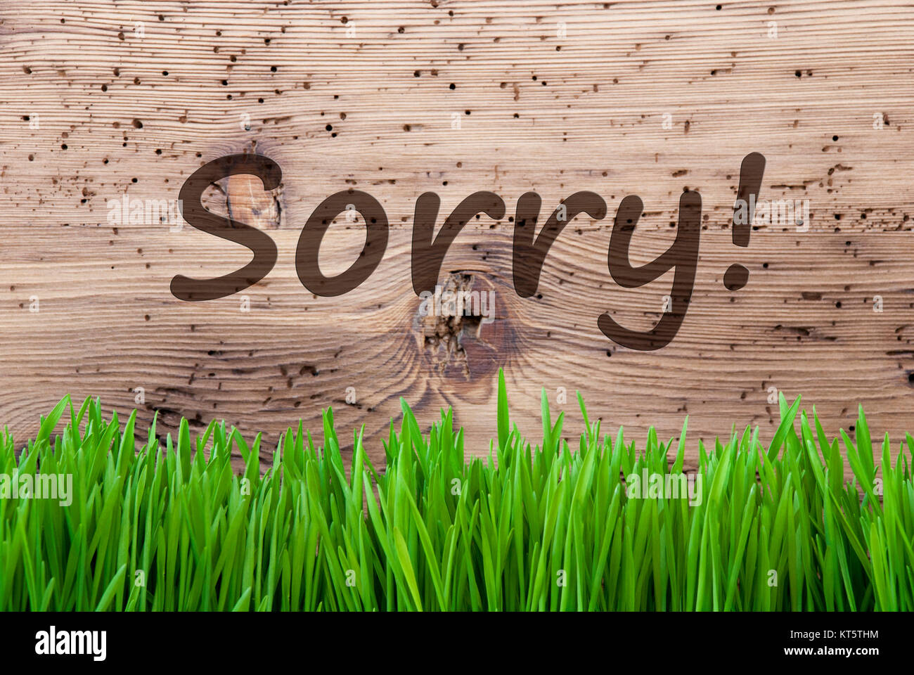 English Text Sorry. Spring Season Greeting Card. Bright Aged Wooden ...