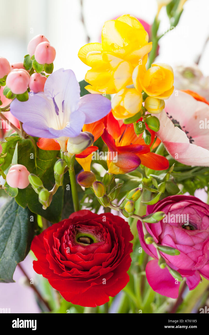 colorful spring flowers Stock Photo