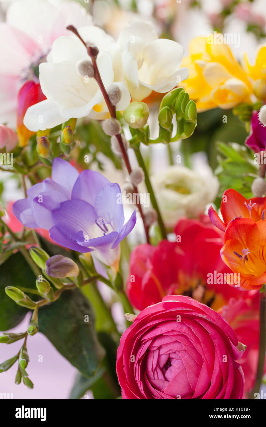 colorful spring flowers Stock Photo