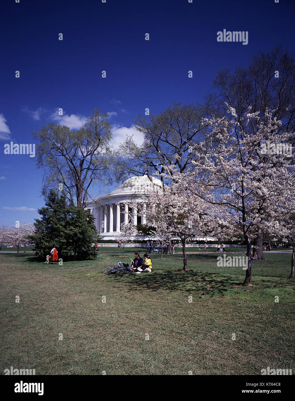 Springtime at the Jefferson Memorial in Washington, D.C., is marked by ...