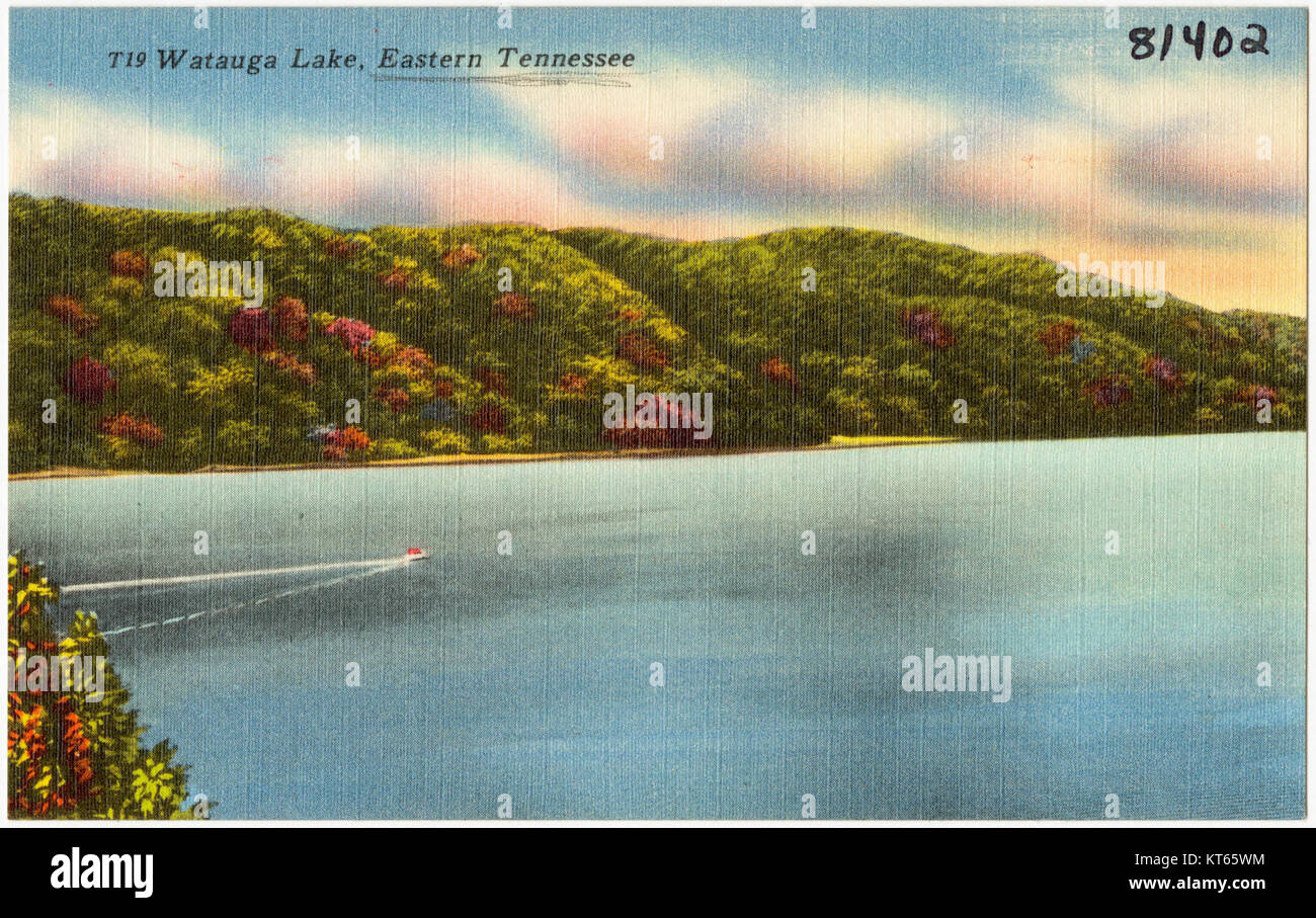 T19. Watauga Lake, Eastern Tennessee (81402 Stock Photo Alamy