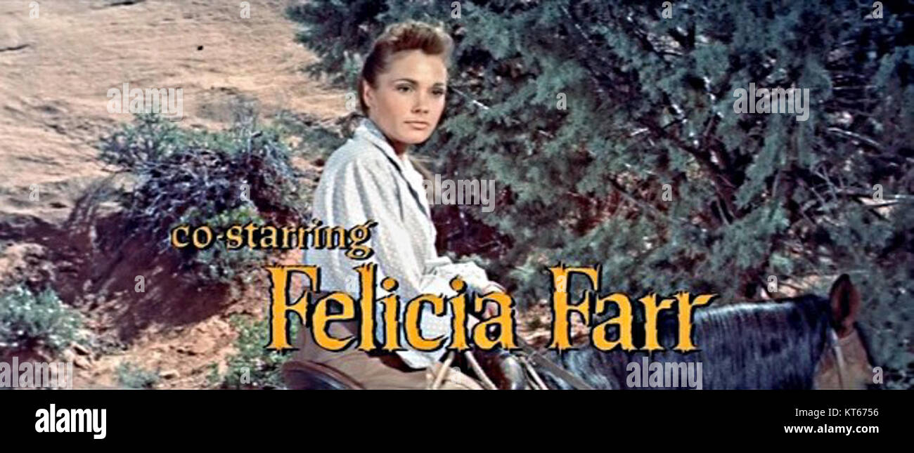 felicia-farr-hi-res-stock-photography-and-images-alamy