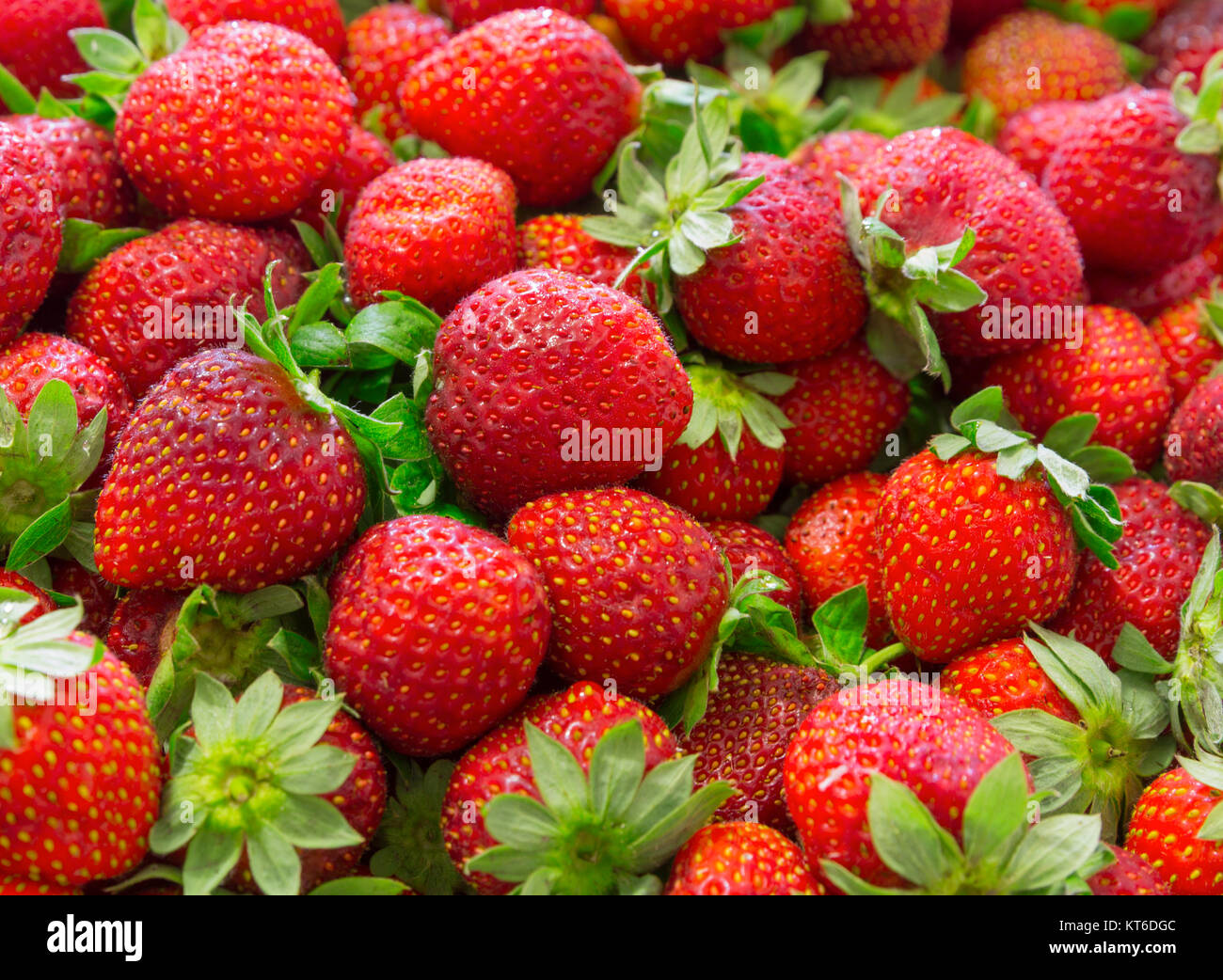 Background of beautiful and juicy strawberries with green leaves Stock ...