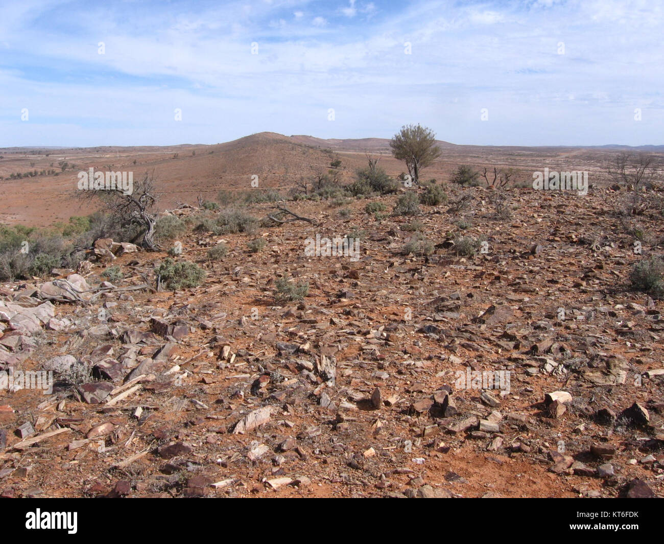 Arid Zone Scene Australia Stock Photo Alamy arid-zone-scene-australia-stock-photo-alamy