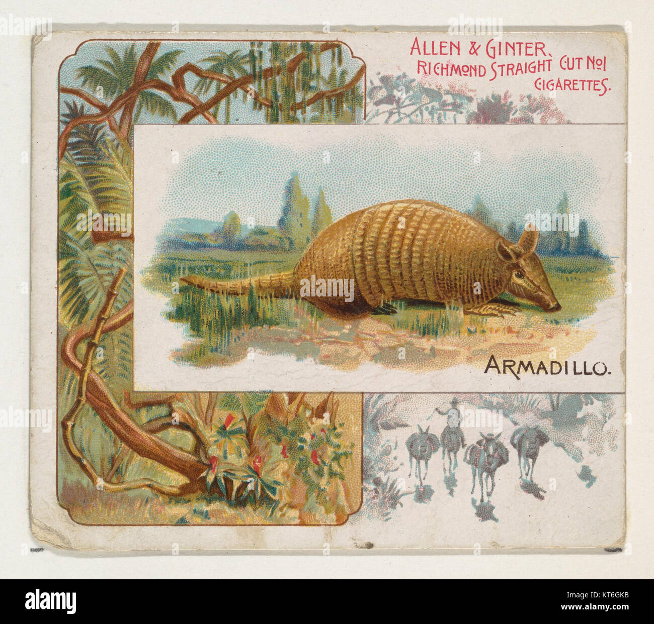 armadillo cigarette cards RDR2: All Card Sets & Locations Vistas Of America Cigarette Card