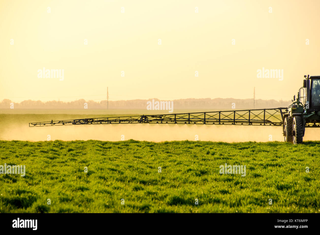 Tractor on the sunset background. Tractor with high wheels is making fertilizer on young wheat. The use of finely dispersed spray chemicals Stock Photo