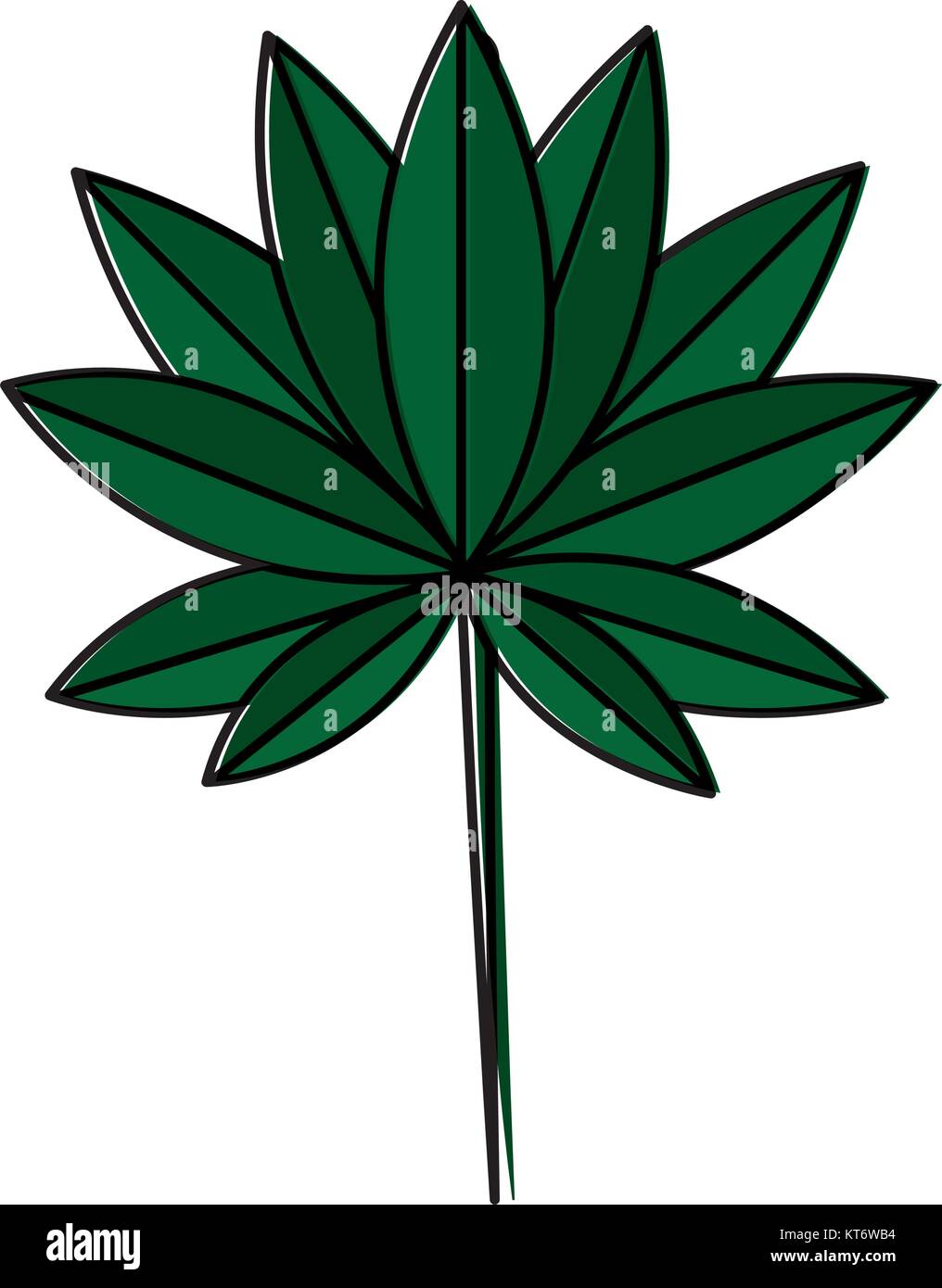 tropical leaf plant natural wild botanical vector illustration Stock ...