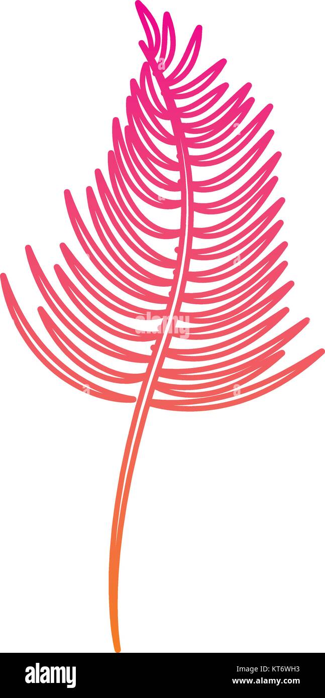 tropical leaf plant natural wild botanical vector illustration Stock ...