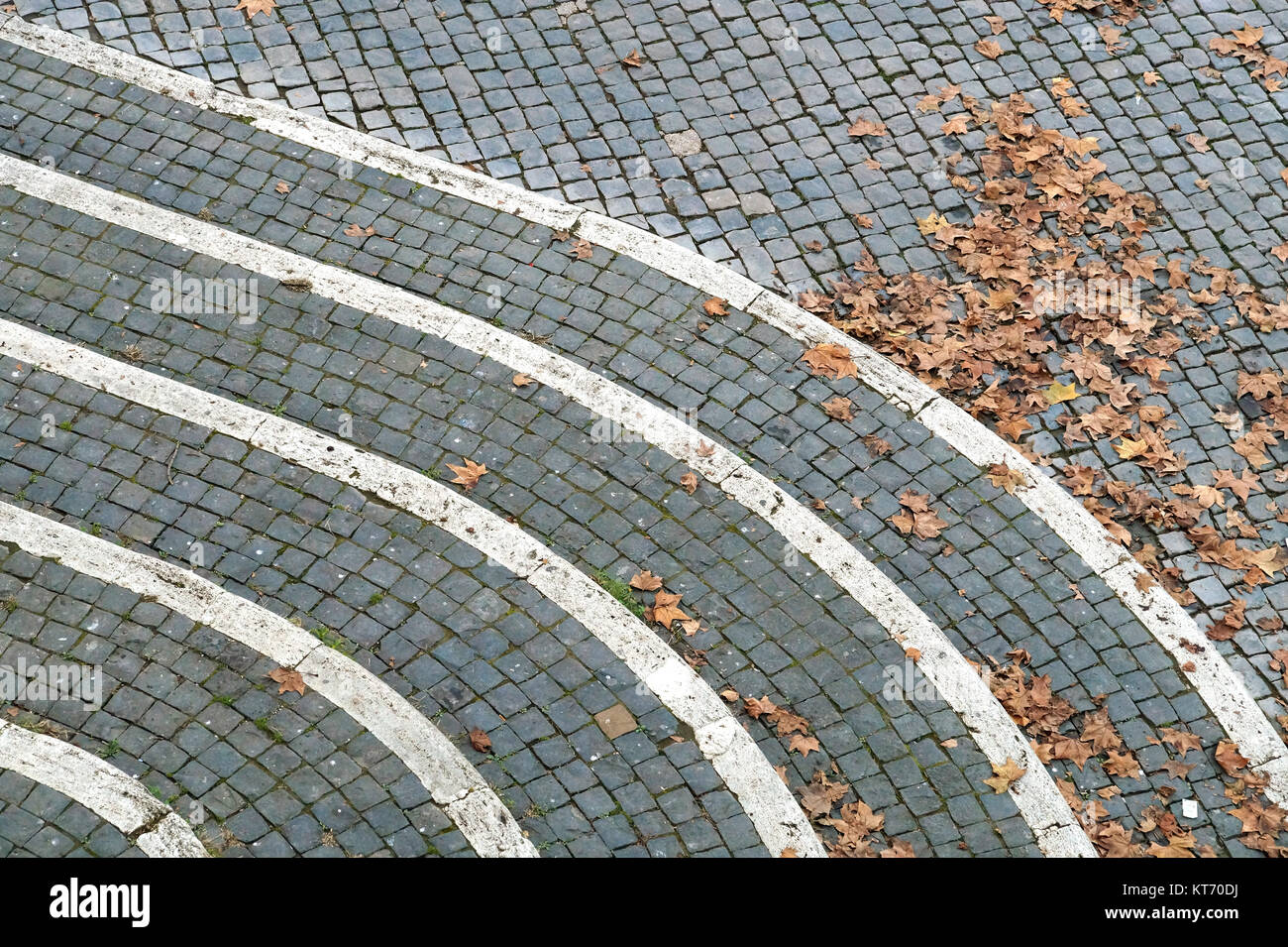 background of the paving stones of the road with yellow autumn leaves ...