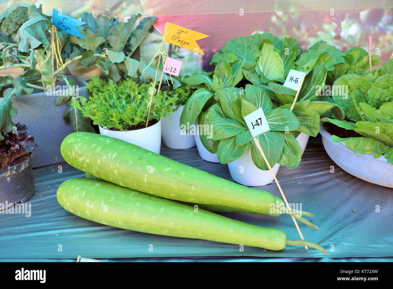 Organic cultivated fruits and vegetable of northeast India displaying during hornbill festival